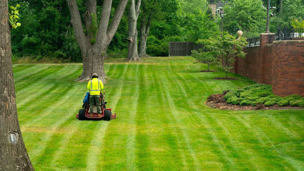 Commercial-Grade Mowers